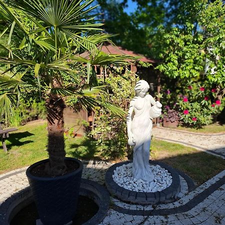 Apartament Wlodek Jelenia Góra Extérieur photo