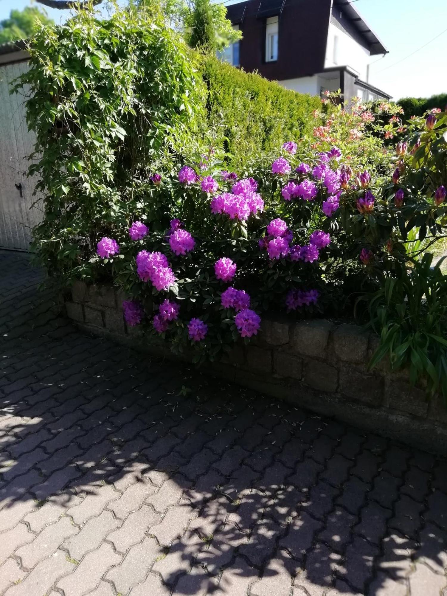 Apartament Wlodek Jelenia Góra Extérieur photo