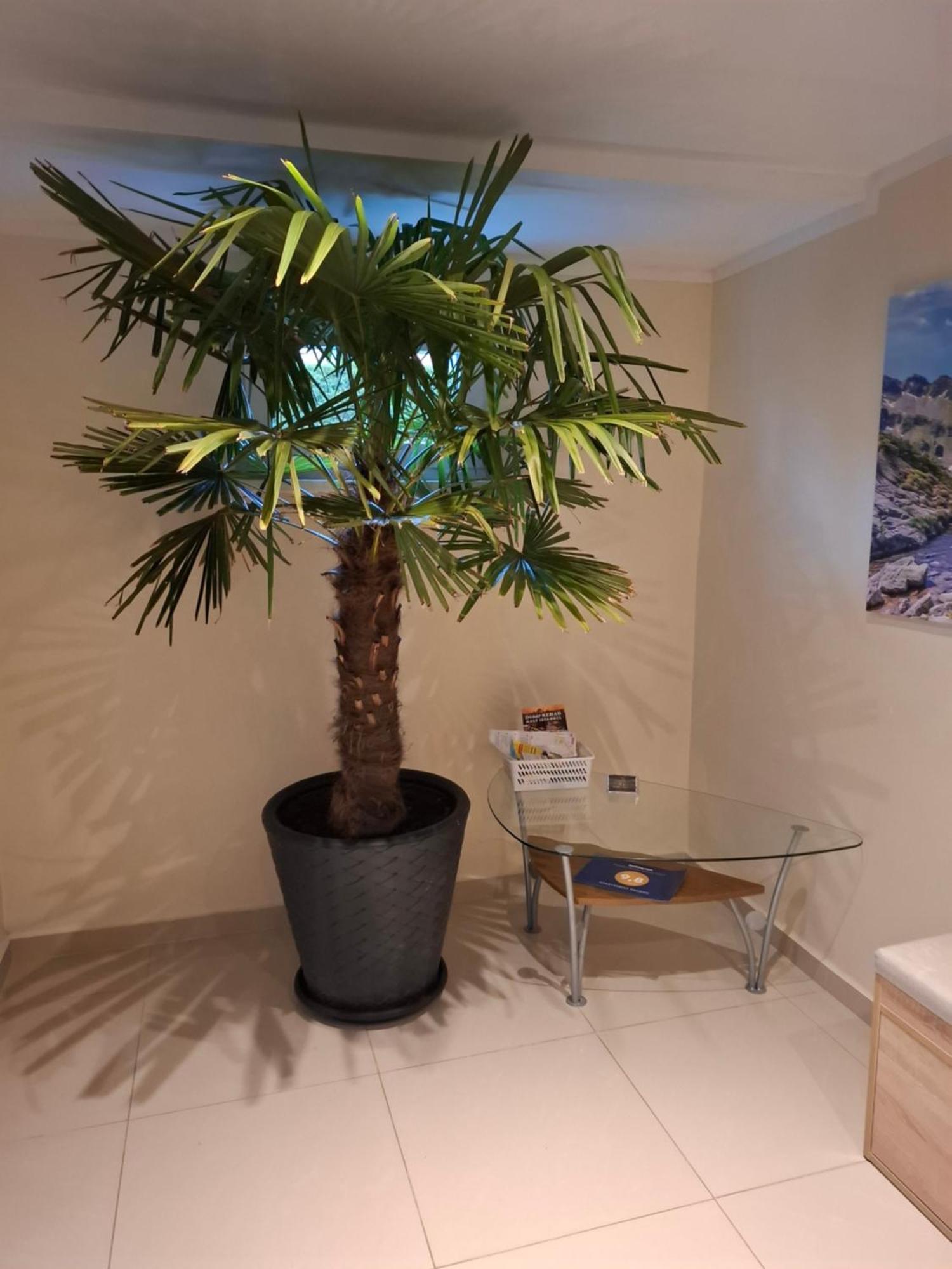 Apartament Wlodek Jelenia Góra Extérieur photo